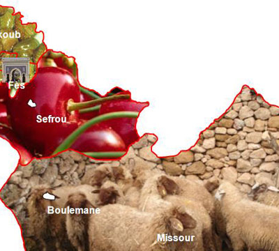Lokale Produkte in Fès-Boulemane hervorgehoben