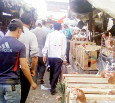 Le nouveau marché de gros  de volailles bientôt opérationnel