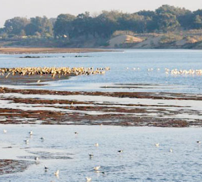 Appel à la redynamisation du territoire de l'Oued Souss