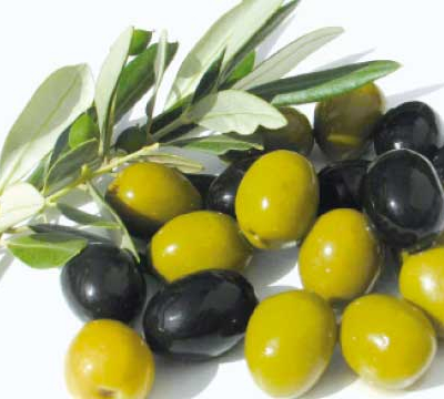 Un salon national de l'olivier  s'invite à Al-Attaouia