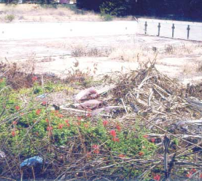 La piscine olympique bientôt  réhabilitée
