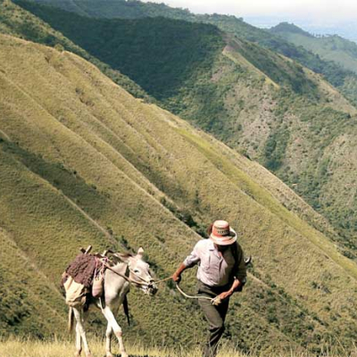 L'industrie cinématographique des pays hispanophones s'invite au Maroc