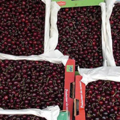 La 95éme édition du Festival des cerises, du 4 au 7 juin prochain