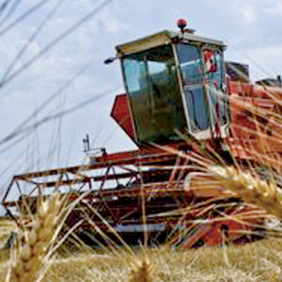 Production céréalière : Plus de 15 millions de qx attendus à Chaouia-Ouardigha