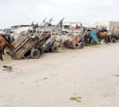 «Souk Tlat», une décharge à ciel ouvert