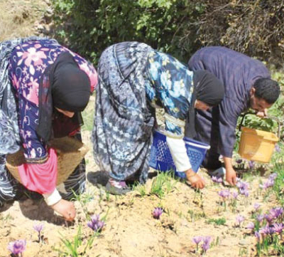 Les étudiants casablancais solidaires avec Taliouine