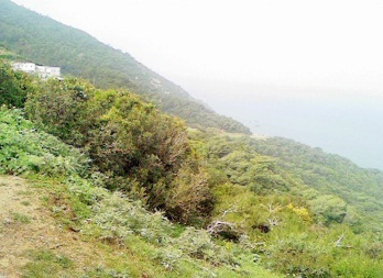 Abandon de l’opération de révision du plan d'aménagement de Jbel Kébir