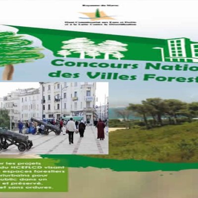 طنجة تفوز بالجائزة الأولى