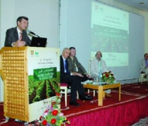 Le sanglier s’invite chez les scientifiques