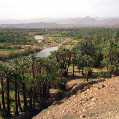 Tourisme durable : Le potentiel oasien au cœur du débat