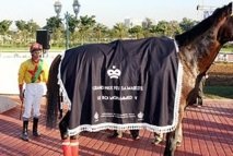 Horse racing: The horse Mayar wins the late HM Mohammed V GP