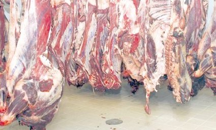 Importante saisie de viande avariée à Berrechid