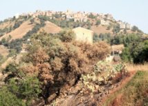Le prix Green Apple Award Trophy décerné à une revue environnementale marocaine