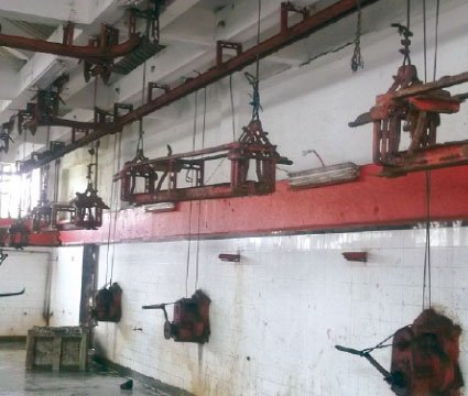 The El Jadida slaughterhouse lacks hygiene