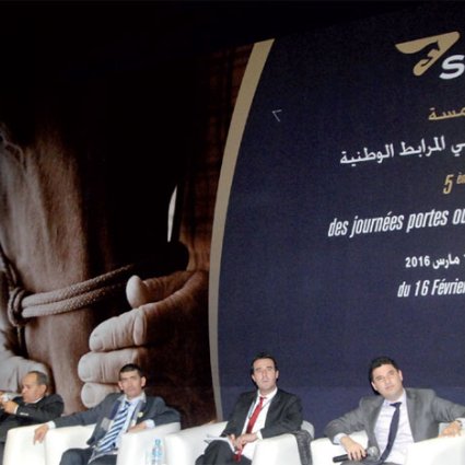 La cité de Mazagan abrite les Journées portes ouvertes des haras nationaux