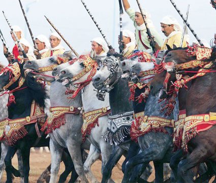 L'art ancestral de la Tbourida à l'honneur