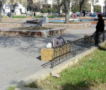 «مشروع الحديقة النباتية لفاس لم ير النور بعد»