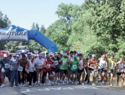 Sur les pas du Marathon international des cèdres