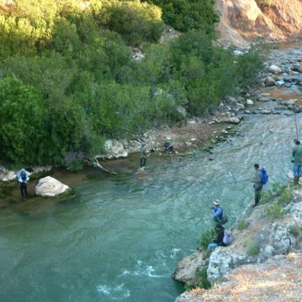 نحو وضع نموذج لإدارة مستدامة