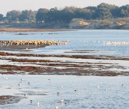 Appel Ă la redynamisation du territoire de l'Oued Souss