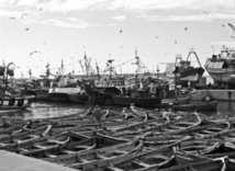 Der Fischereihafen von Laâyoune gelähmt