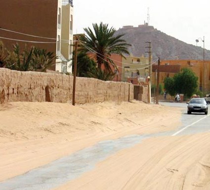 Laâyoune-Smara : Deux journées consacrées à la lutte contre la désertification