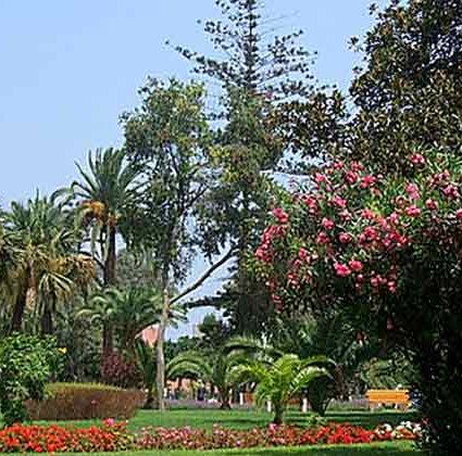 Mohammedia hosts its first Maghreb festival "Nawafid" in June