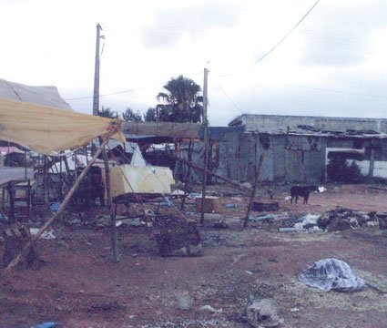 A real "Souk" in Benyakhlef