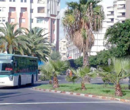 Mohammedia is suffering from its public transport