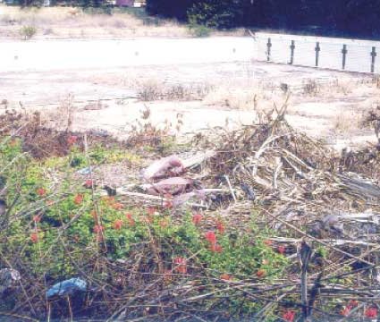 Olympic swimming pool to be rehabilitated soon