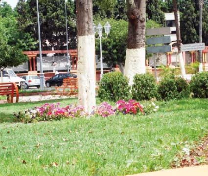 Place aux espaces verts !