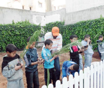 An organic space for the orphans of Dar Al Atfal Sidi Bernoussi