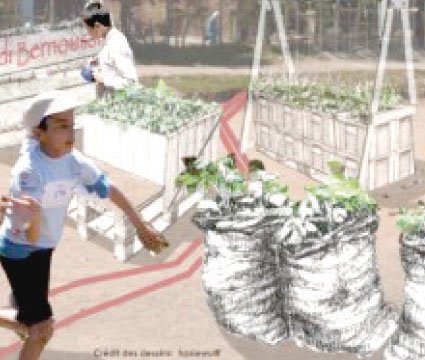 Project for the development of a public space for the orphanage