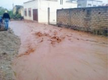 Tahla suffers the wrath of rainfall and politics