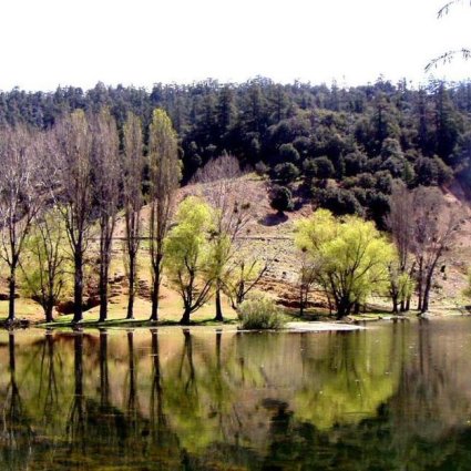 Journée mondiale des zones humides : Ensemble pour réussir le PAG du Val d'Ifrane