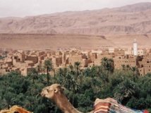 Zagora hosts the 2nd International Oasis Forum