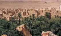 Le troisième Forum international des oasis s'attaque à l'agriculture familiale