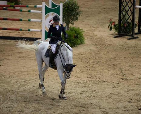 &copy; &copy; Salon du Cheval / Association du Salon du Cheval