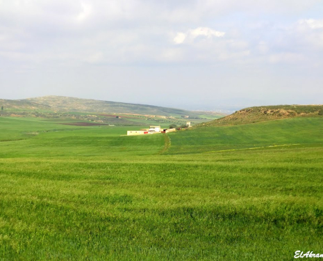 &copy; &copy; panoramio / elakramine, http://www.panoramio.com/user/831427