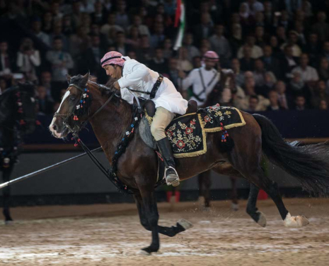 &copy; &copy; Salon du Cheval / Association du Salon du Cheval