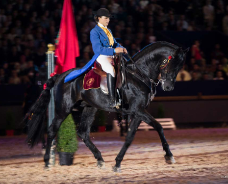 &copy; &copy; Salon du Cheval / Association du Salon du Cheval