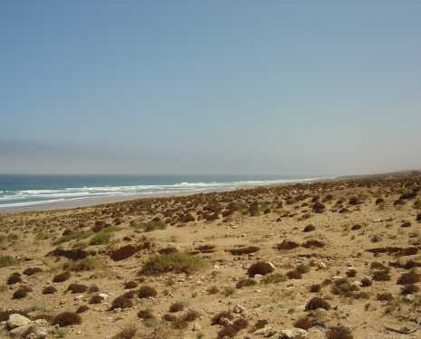 &copy; &copy; panoramio / Ben de Graaf Bierbrauwer, http://www.panoramio.com/user/1138231