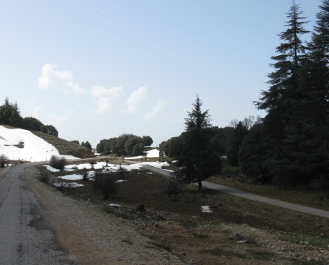 &copy; &copy; panoramio / elakramine, http://www.panoramio.com/user/831427