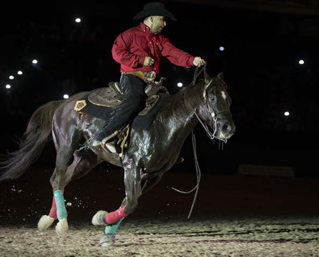 &copy; &copy; Salon du Cheval / Association du Salon du Cheval