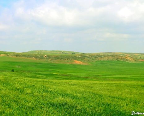 &copy; &copy; panoramio / elakramine, http://www.panoramio.com/user/831427