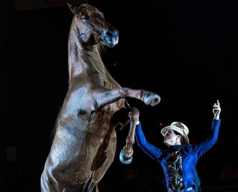 &copy; &copy; Salon du Cheval / Association du Salon du Cheval