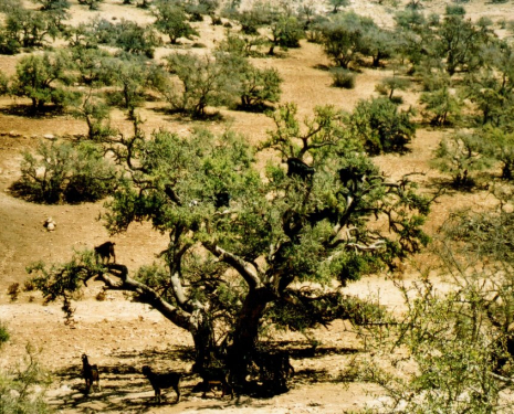 &copy; &copy; panoramio / Justyna Z@, http://www.panoramio.com/user/3061306