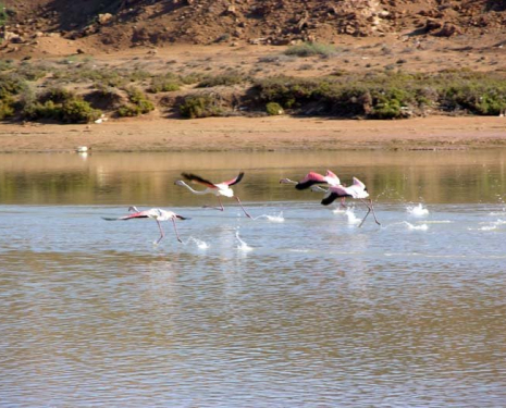 &copy; &copy; panoramio / Fouderg, http://www.panoramio.com/user/782549