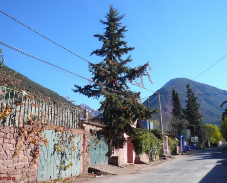 &copy; &copy; panoramio / Samba, http://www.panoramio.com/user/4238022