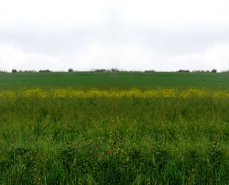 &copy; &copy; panoramio / elakramine, http://www.panoramio.com/user/831427